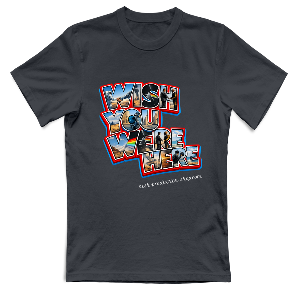 T-Shirt Unisex Large linea wish you were here
