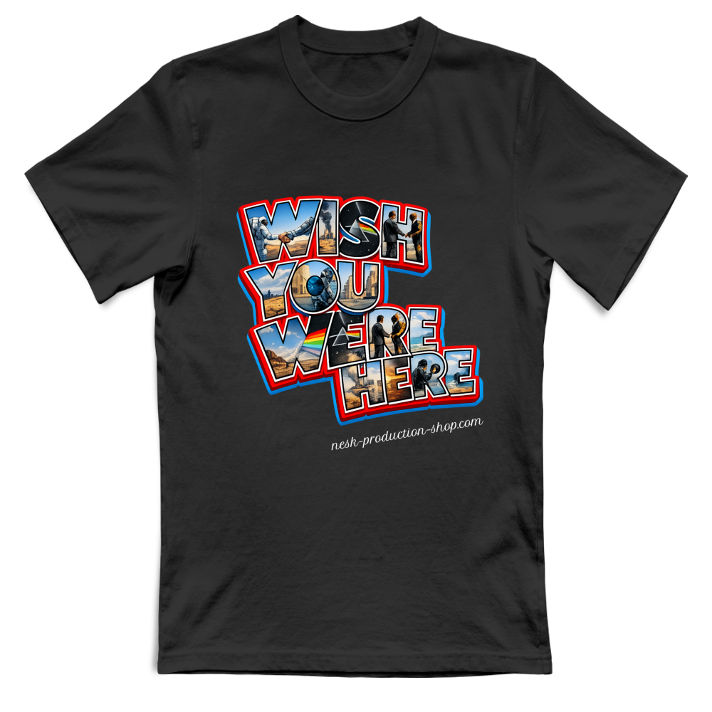 T-Shirt Unisex Large linea wish you were here