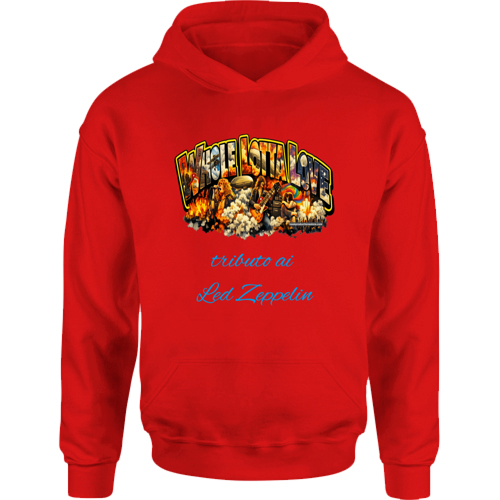 Felpa Bambino con Cappuccio linea Whole lotta love